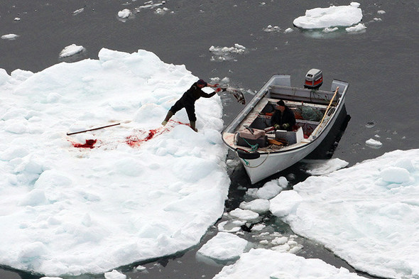 Сезон кровавой охоты открыт. Изображение № 5.