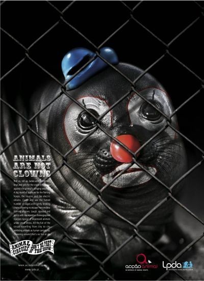 Animals are not clowns. Изображение № 2.