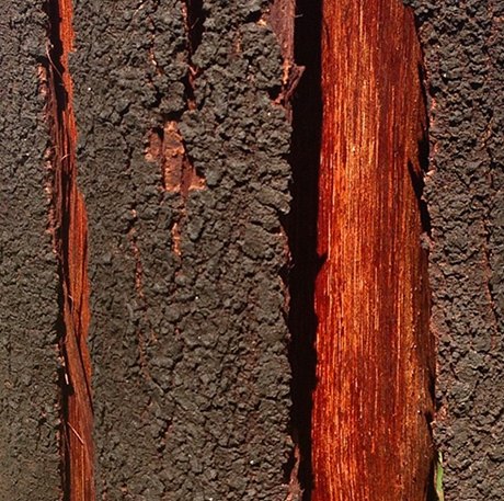 Я и моя странная кошка: Как Instagram делает из нас художников. Изображение №21.