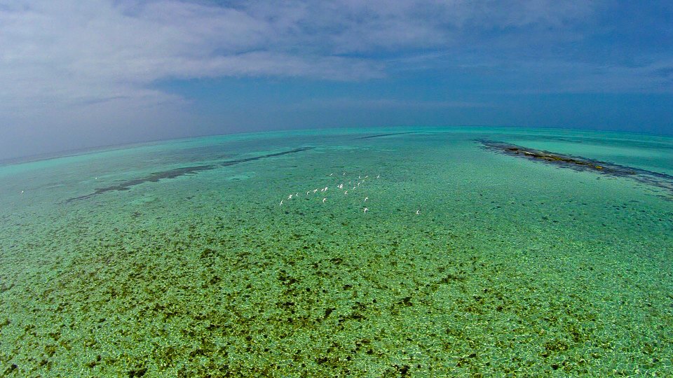 С высоты птичьего полета: Лучшие дрон-фотографии в мире. Изображение №16.
