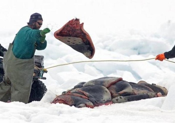 Сезон кровавой охоты открыт. Изображение № 8.