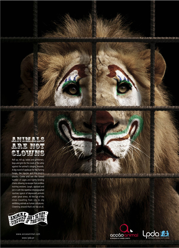 Animals are not clowns. Изображение № 1.