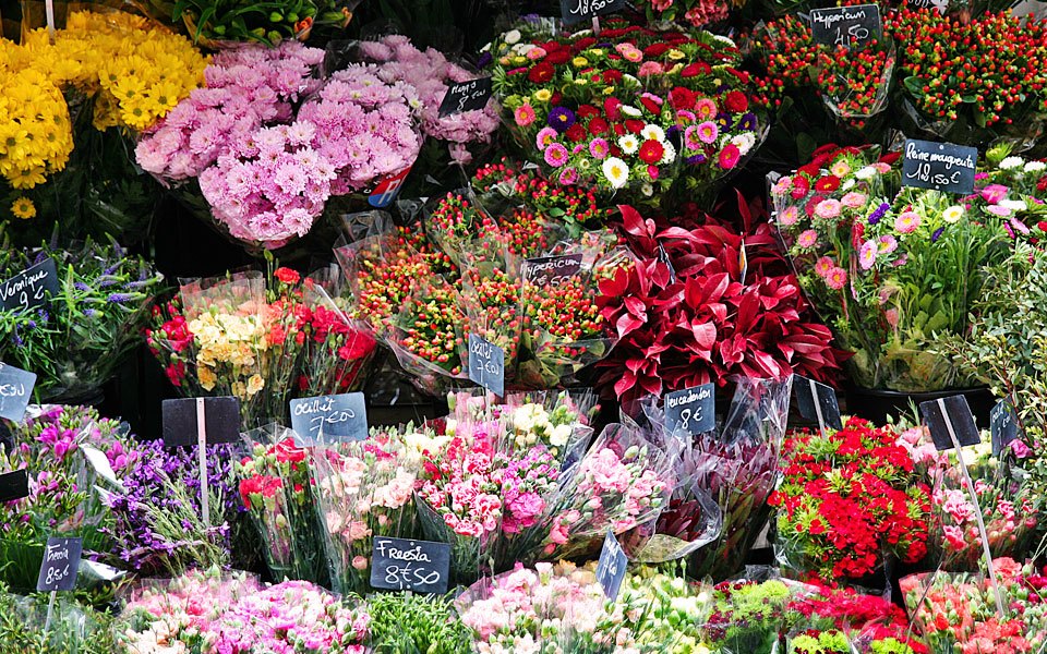 Почему мы покупаем: Как маркетологи обманывают наш мозг. Изображение №6.