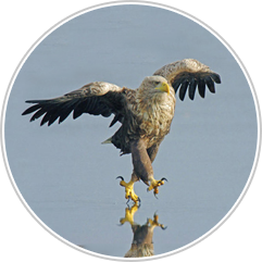 Почему в интернете  так много ненависти. Изображение №3.