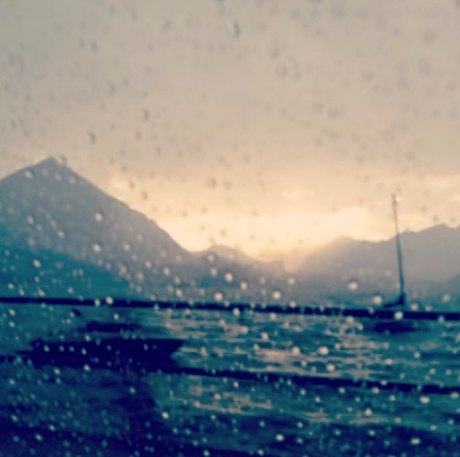 Я и моя странная кошка: Как Instagram делает из нас художников. Изображение №12.