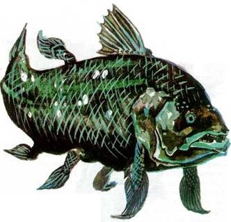 Найдётся всё. Изображение № 7.