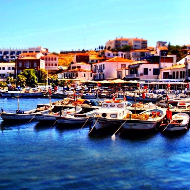 Я и моя странная кошка: Как Instagram делает из нас художников. Изображение №18.