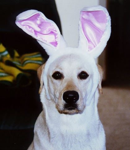 Найдётся всё. Изображение № 10.