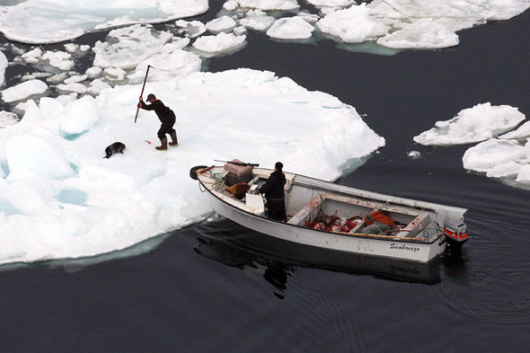 Сезон кровавой охоты открыт. Изображение № 2.