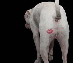 Найдётся всё. Изображение № 2.