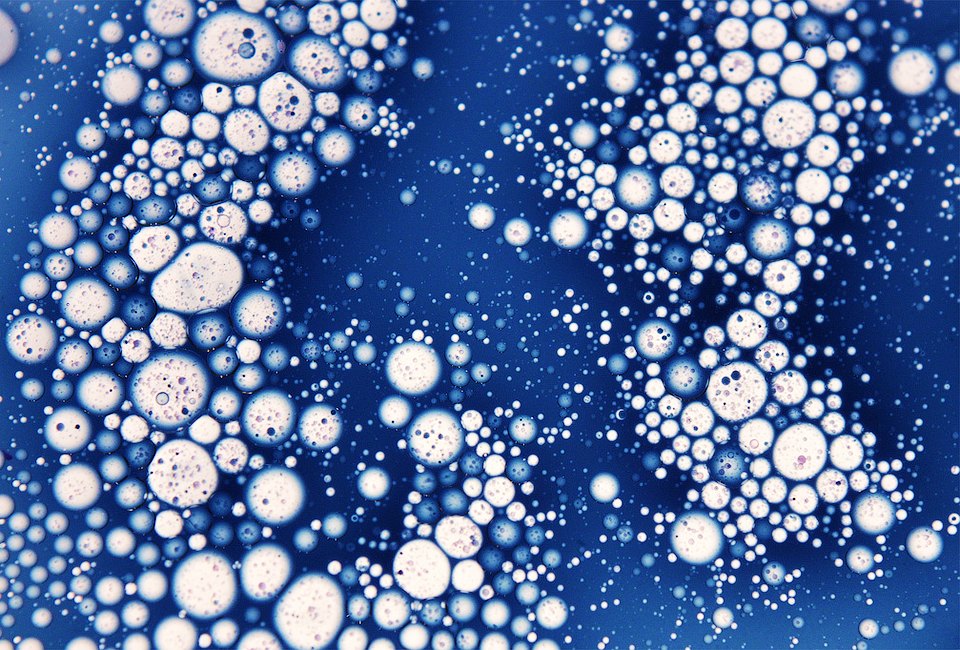 8 бессмысленных научных споров — от геев до ГМО. Изображение №9.