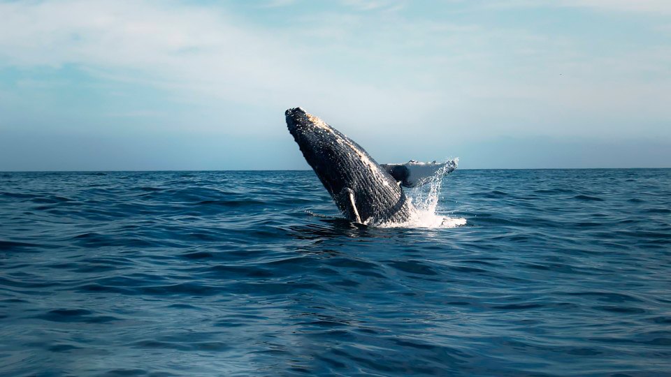 С высоты птичьего полета: Лучшие дрон-фотографии в мире. Изображение №9.