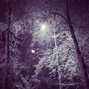 Первый снег в Петербурге в снимках Instagram — Галереи translation missing: ru.desktop.posts.titles.on The Village