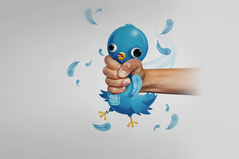 Птичка вылетела: 7 важных фактов об IPO Twitter — Кейсы на The Village