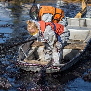 Как леса Коми очищают от нефти — Фоторепортаж на The Village