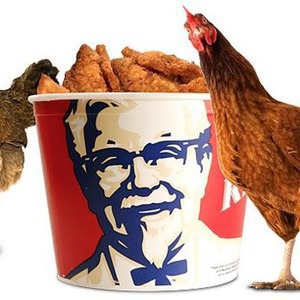 В Киеве появится сеть быстрого питания Kentucky Fried Chicken — Ситуация на The Village