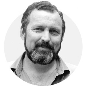 Комментарий: Владимир Кревер о нашествии насекомых — Город translation missing: ru.desktop.posts.titles.on The Village