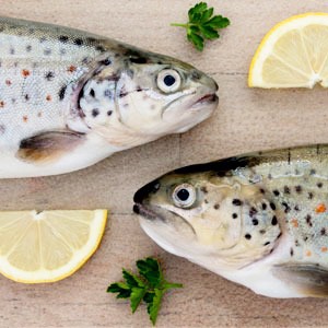 Как люди с аллергией на продукты питаются в ресторанах — Личный опыт translation missing: ru.desktop.posts.titles.on The Village