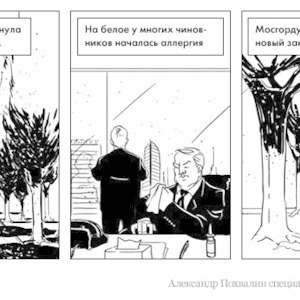 Постскриптум: Москва борется с тополиным пухом — Комикс translation missing: ru.desktop.posts.titles.on The Village