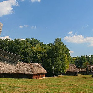 В «Пирогово» появятся точки быстрого питания — Ситуация на The Village