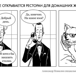 Постскриптум: Московский ресторан для животных — Люди в городе translation missing: ru.desktop.posts.titles.on The Village