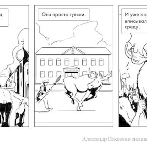 Постскриптум: В Сокольниках на прогулку вышли лоси — Люди в городе на The Village