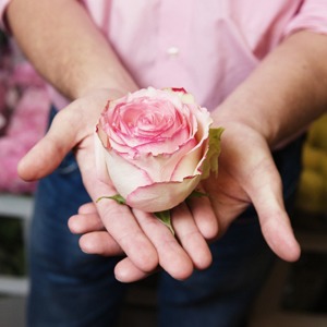 FlowWow: Как создать платформу для доставки цветов — Бери и делай translation missing: ru.desktop.posts.titles.on The Village