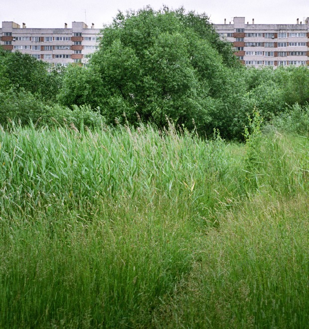 На районе: Красносельский глазами Антона Соколова — Галереи на The Village