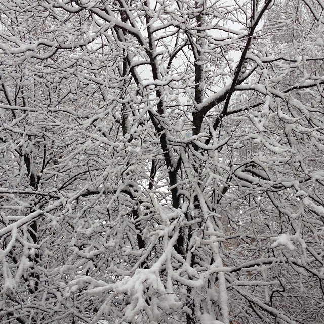 olga_khalanskaya. Изображение №35.