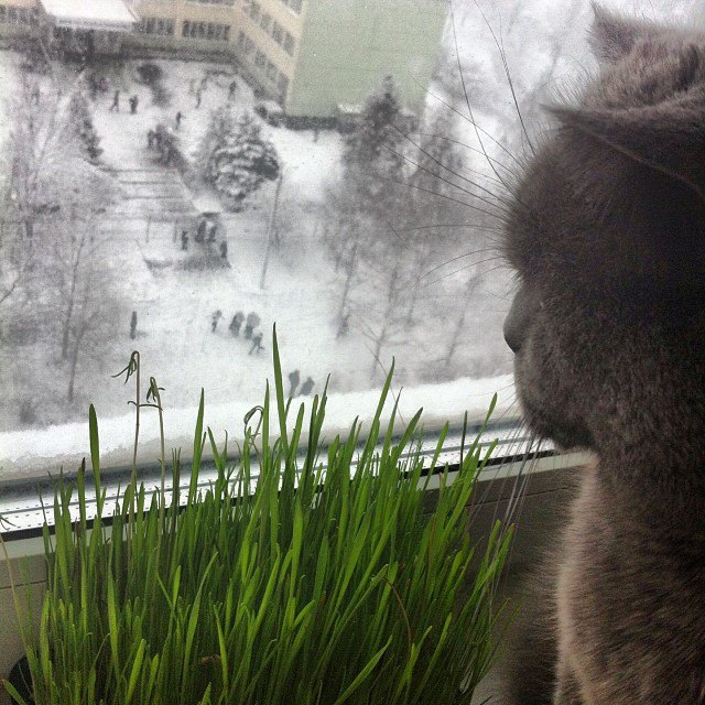 iamolenik. Изображение №15.