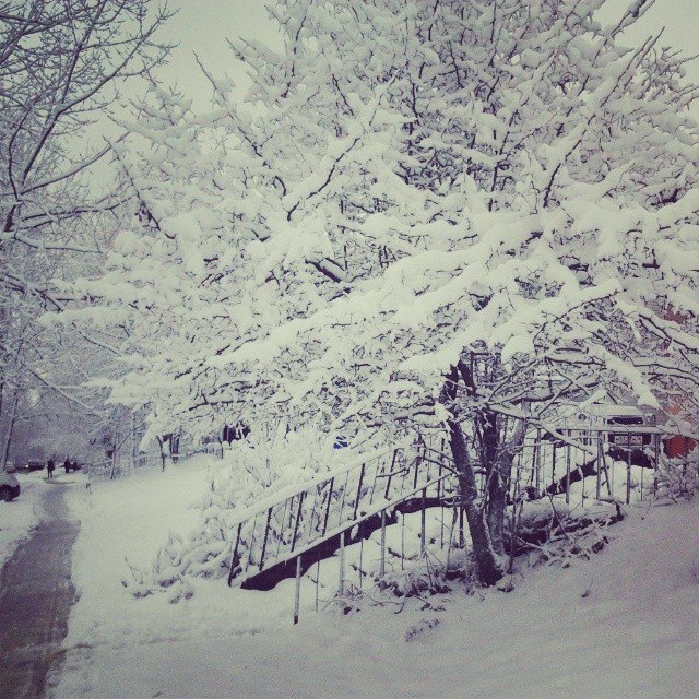 crimeancrimean. Изображение №18.