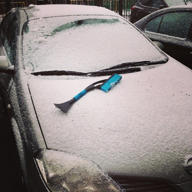 nushaleo. Изображение №12.