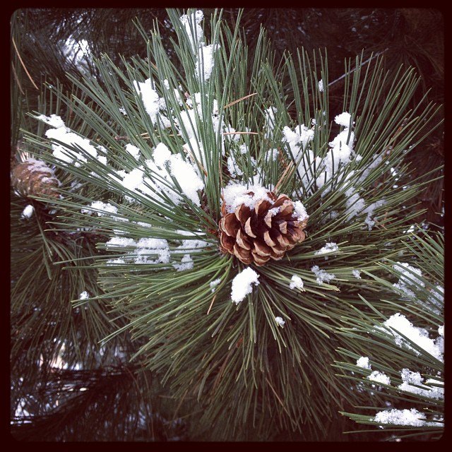 d_valentinova. Изображение №34.