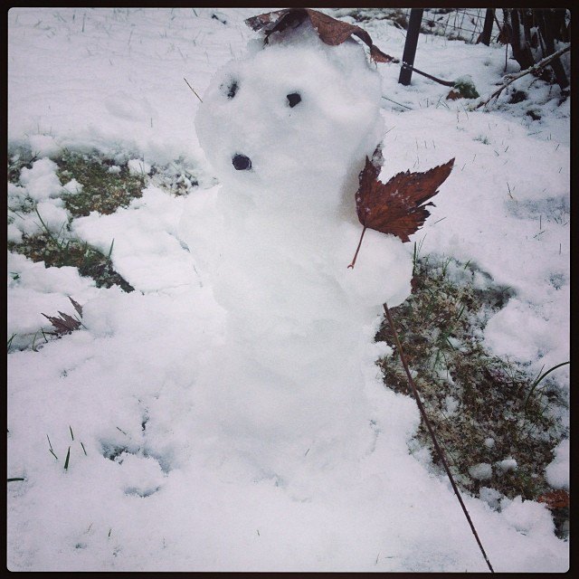 selivanee. Изображение №22.