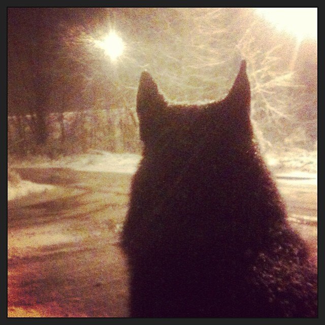 iamforester. Изображение №36.