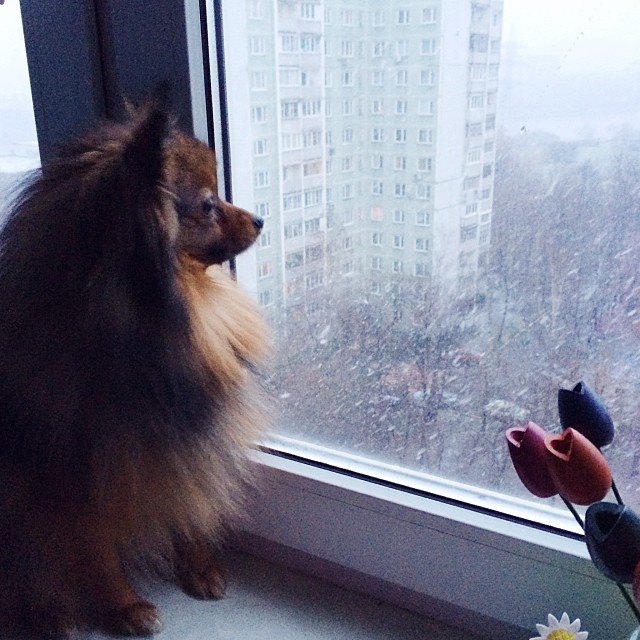 klubni4ka88. Изображение №13.