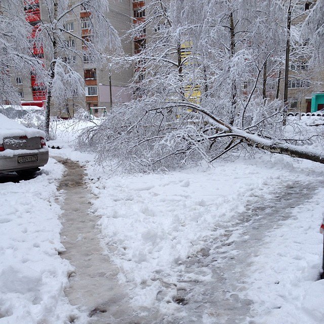 sashkindaizer. Изображение №19.