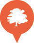 Самые популярные места Foursquare в Петербурге. Изображение № 16.