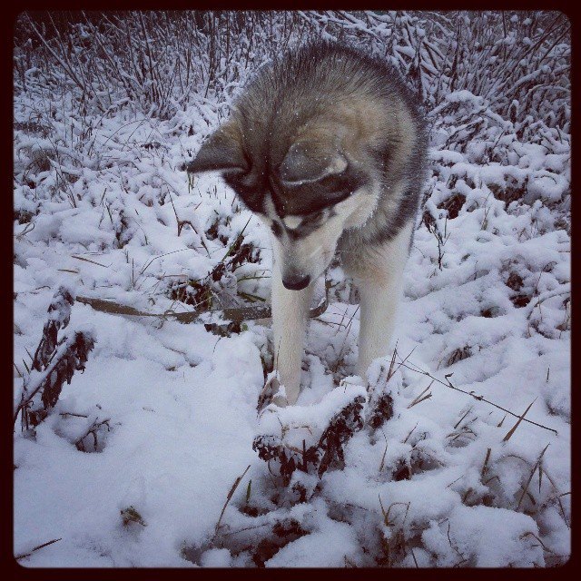 anuta_____. Изображение №8.