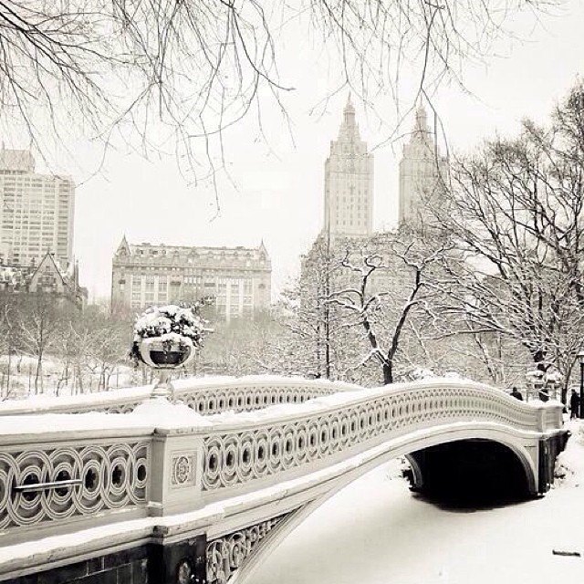 bodeco_blog. Изображение №9.