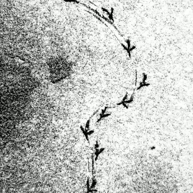 yaaanot. Изображение №20.