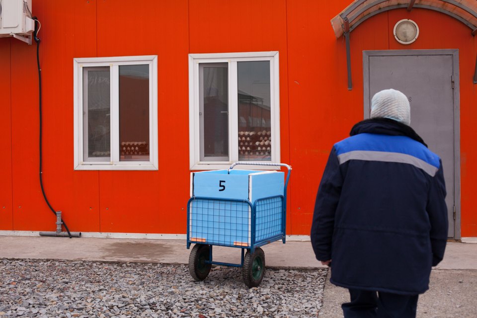Важная птица: Как ростовский предприниматель приучает россиян есть индейку. Изображение №24.