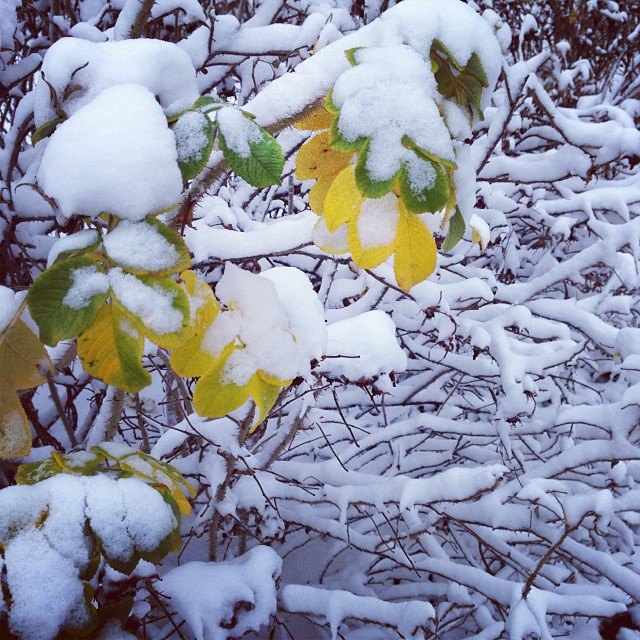 kenzovlad. Изображение №23.