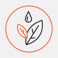 История Google+, борьба с дейтингом в Индии и развлекательная генетика. Изображение № 7.