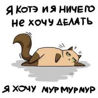 1368260 1368260