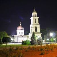 1206315 1206315
