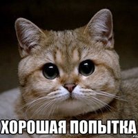 1351229 1351229