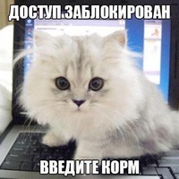 1382740 1382740