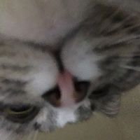 1393264 1393264