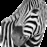 1271489 1271489